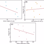Structural Simulation