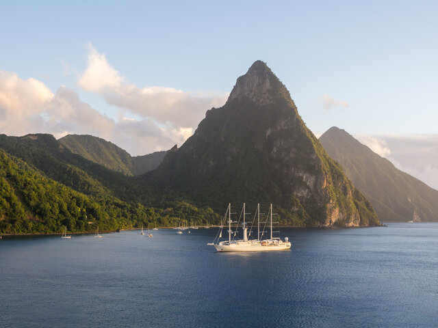 ship with green forest